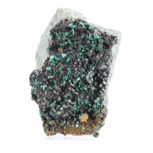 Brochantite bruta do Chile - Espécime científico sobre pedestal