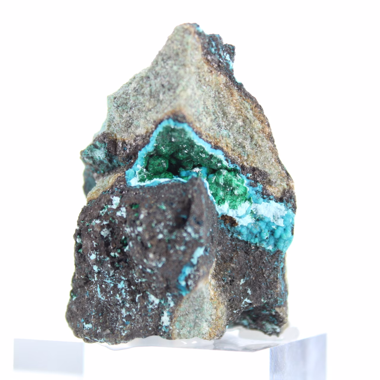Brochantite natural do Chile montada em um suporte de exibição