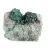 Brochantite verde bruta do Chile em suporte de exibição