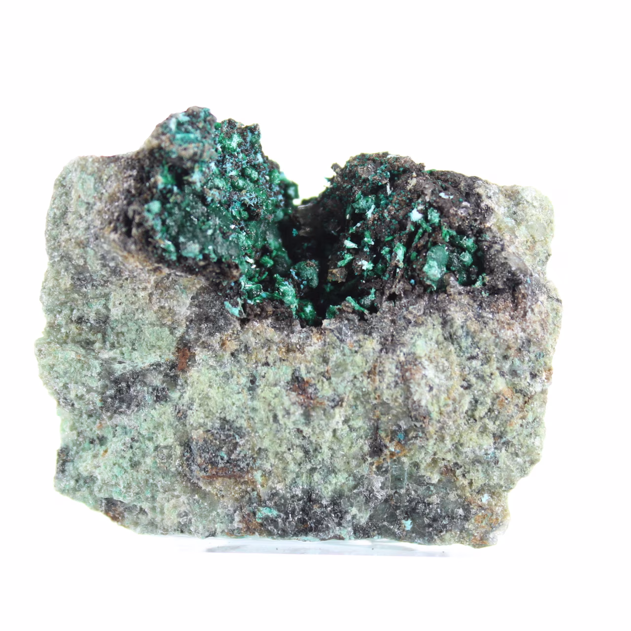 Brochantite verde bruta do Chile em suporte de exibição