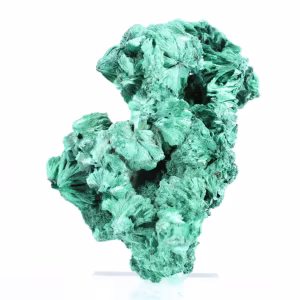 Malaquite fibrosa esguia da RDC, mineral autêntico sobre base