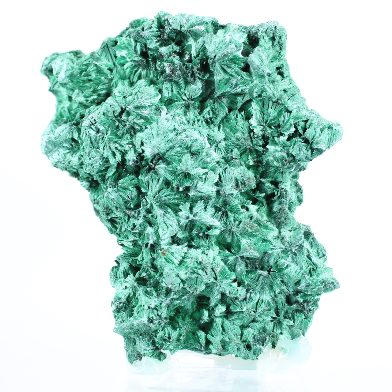 Malaquite fibrosa de perfil plano da RDC, mineral decorativo sobre base