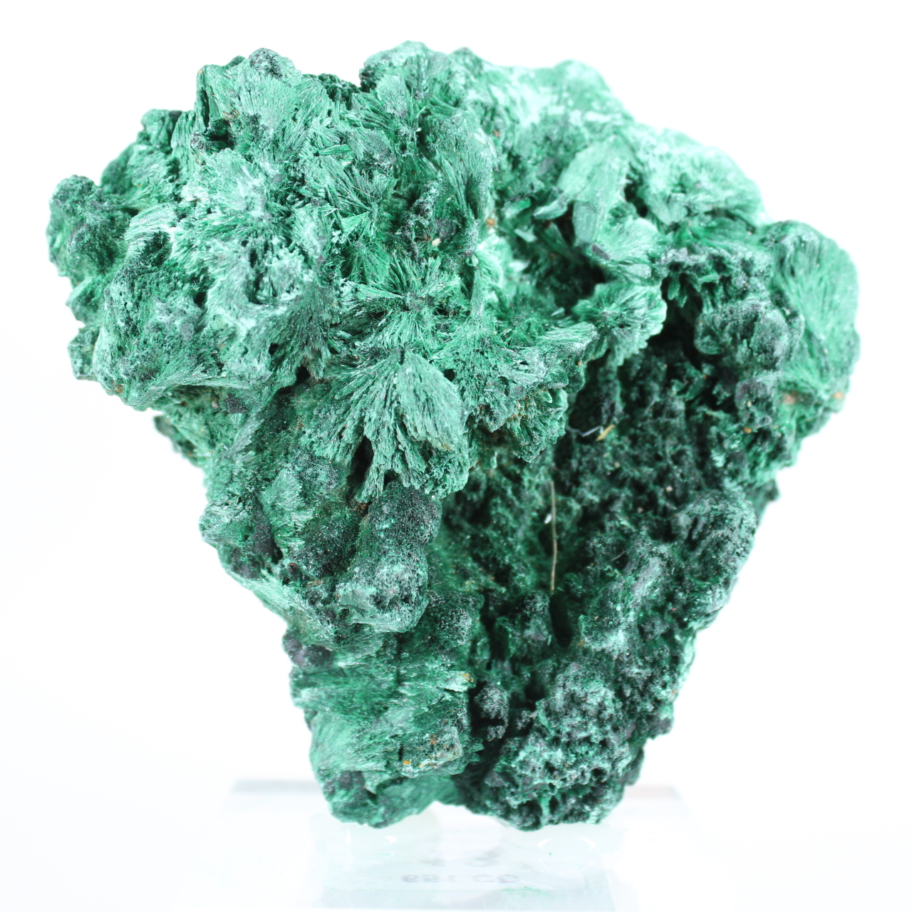 Malaquite verde natural do Congo em agregado fibroso, sobre base