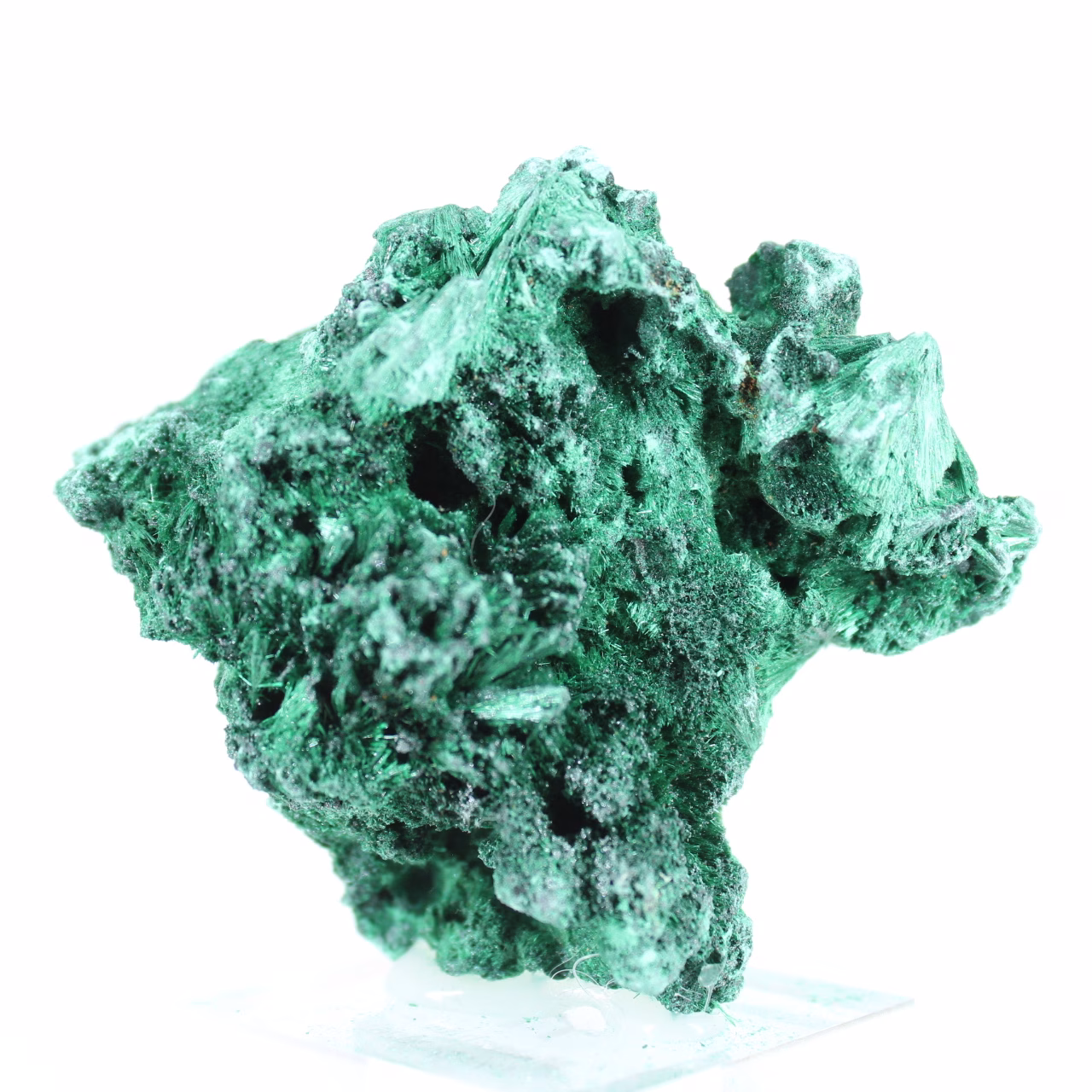 Malaquite natural com textura fibrosa do Congo, peça sobre base