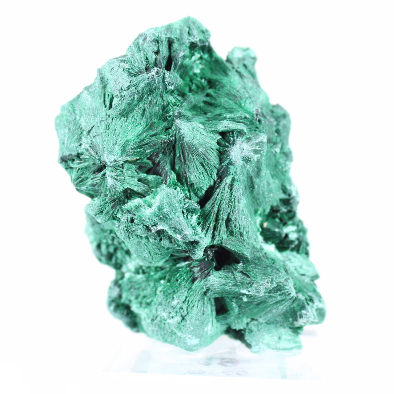 Malaquite densa com fibras cerradas do Congo, mineral sobre acrílico