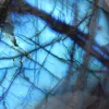 Pedra Natural Labradorite Polida Madagáscar Coleção - 4