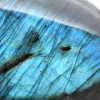 Forma Livre Mineral Labradorite Polida de Madagáscar - 4