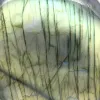 Pedra Ornamental Labradorite de Madagáscar para Vitrine - 4