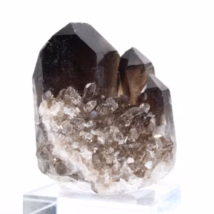 Quartzo mórion do Brasil, cristal negro natural montado em base