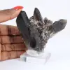 Quartzo mórion brasileiro, cristal decorativo apresentado em base - 1