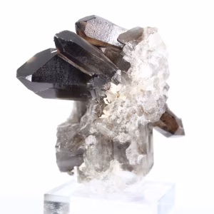 Cristal de quartzo mórion de origem brasileira, expositor acrílico