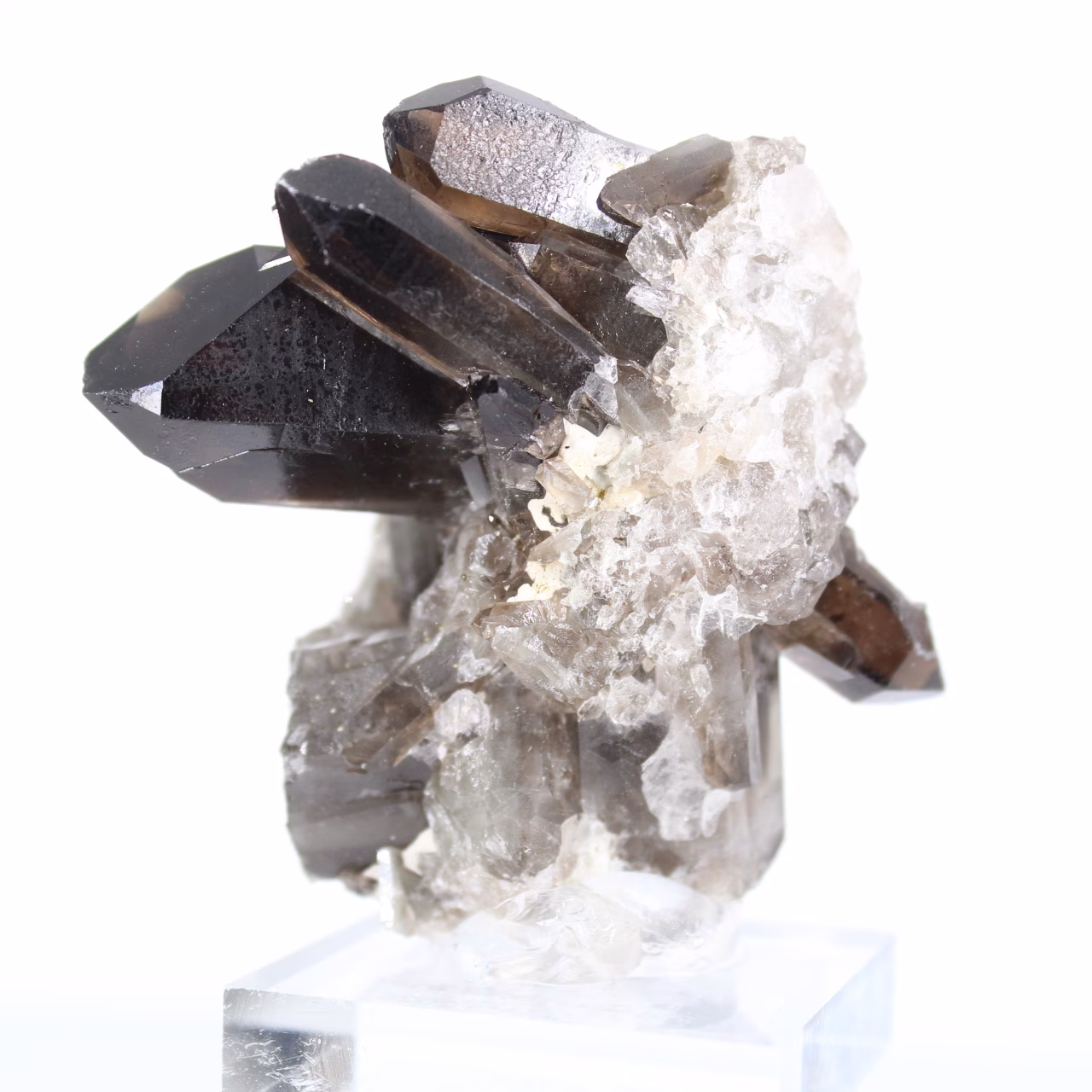 Cristal de quartzo mórion de origem brasileira, expositor acrílico