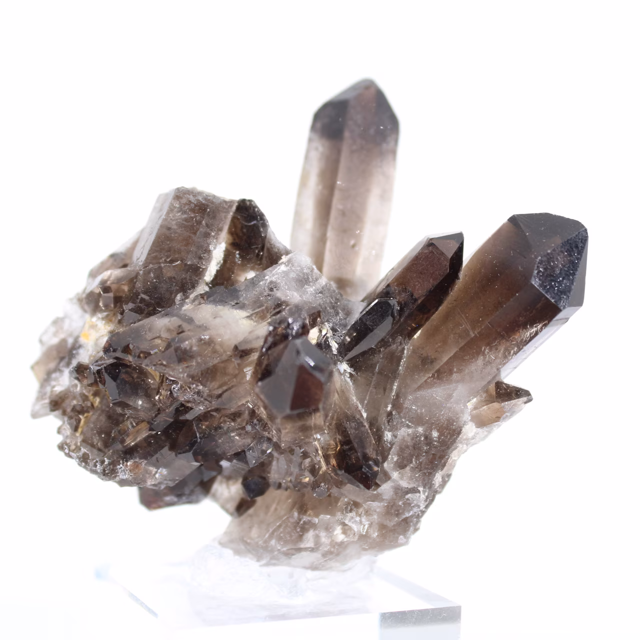 Cristal de quartzo mórion do Brasil, mineral negro montado em base