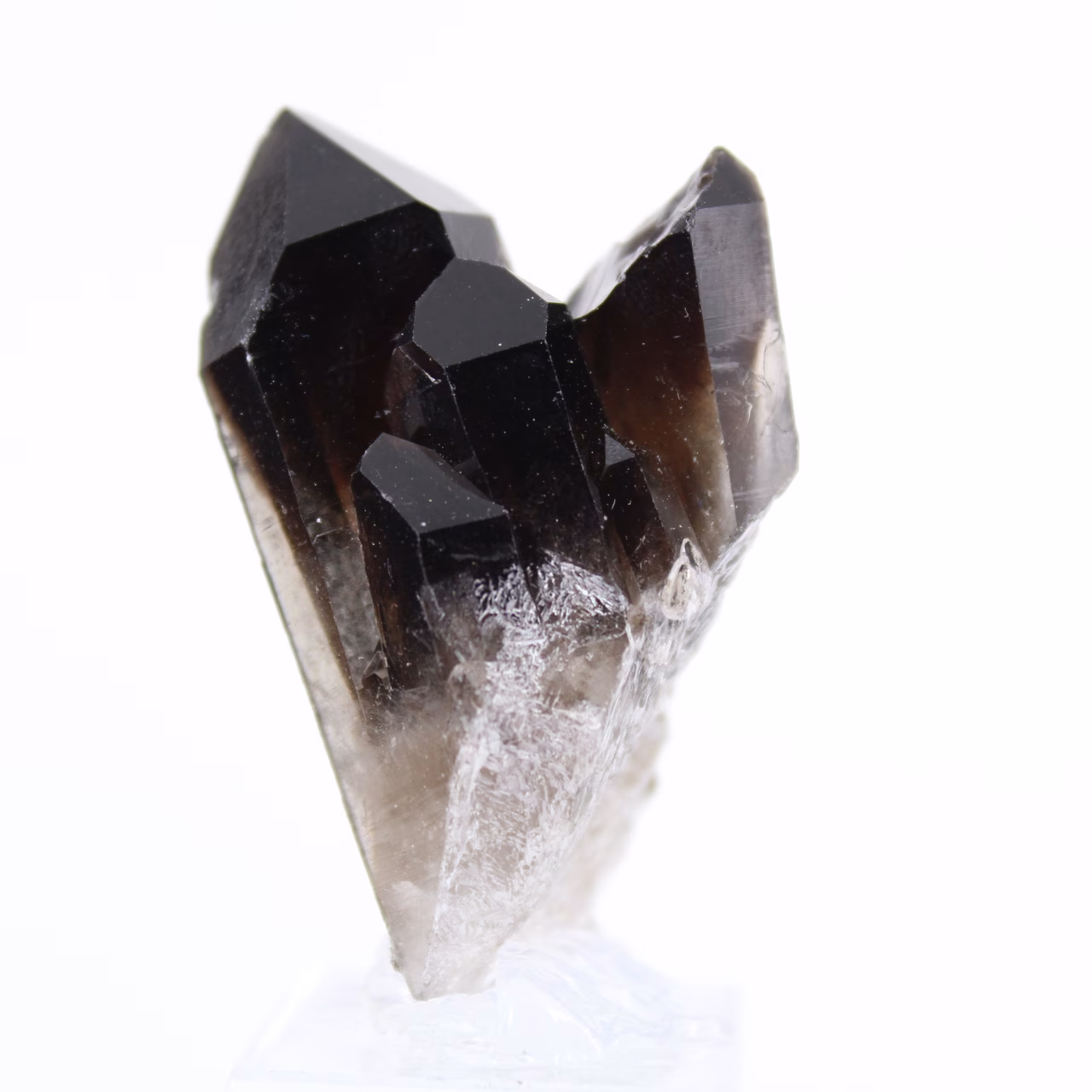 Pequena peça de quartzo mórion brasileiro, cristal em suporte