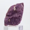 Purpurite bruta portuguesa – Espécime mineralógico sobre suporte - 3